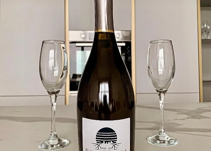 公寓 Panorama Loft 斯特雷萨